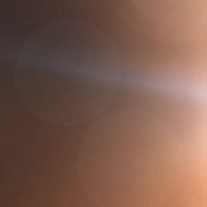 Meet your Posher, Max